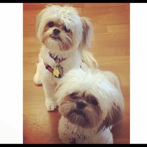 Meet your Posher, Jean